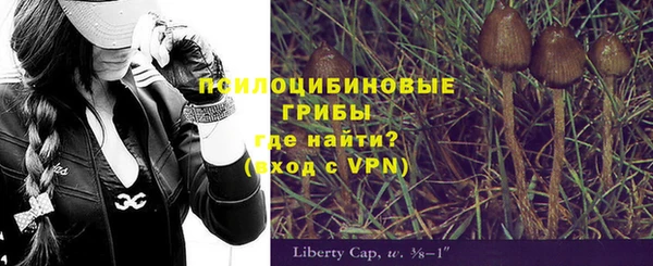 твердый Алексеевка