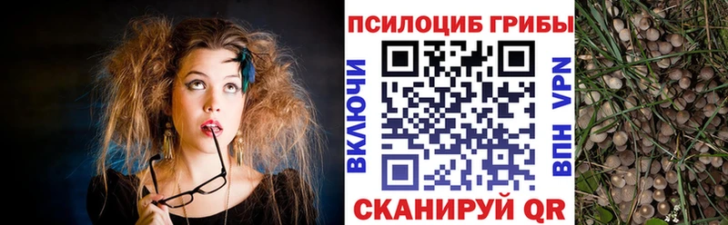 Псилоцибиновые грибы ЛСД Крым