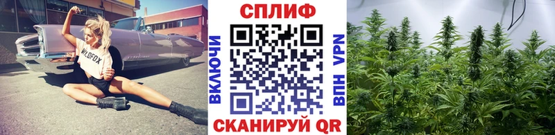 МАРИХУАНА ГИДРОПОН  Крым 